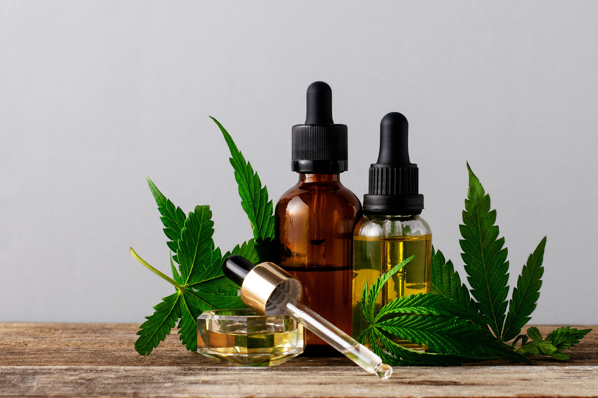 A Beginners Guide To Cbd 4615